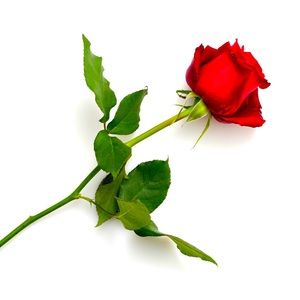 Meet your Posher, Weaam